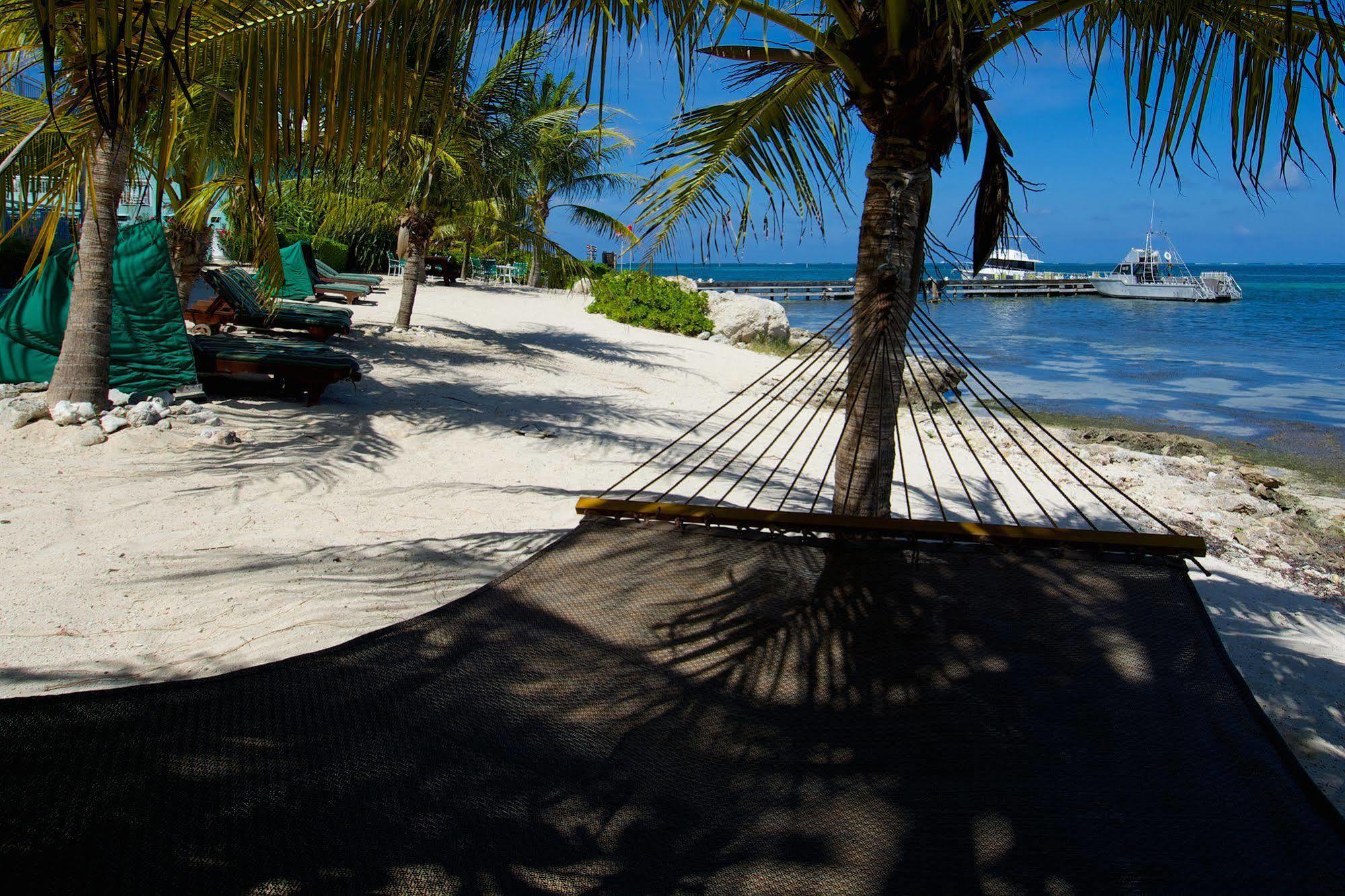 Compass Point Dive Resort Gun Bay Zewnętrze zdjęcie